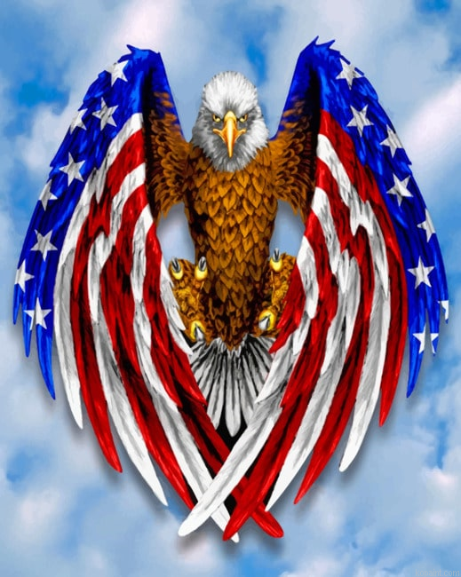 Eagle American Flag New Painting By Numberss.png