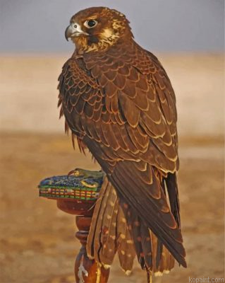 Eagle Desert Bird Painting By Numberss.png