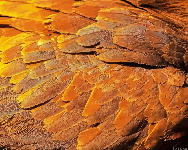Eagle Feathers Art Painting By Numberss.png