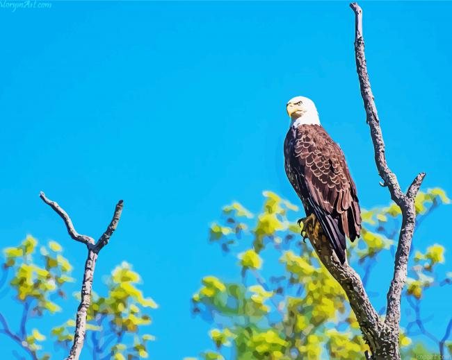 Eagle On A Tree Painting By Numberss.png