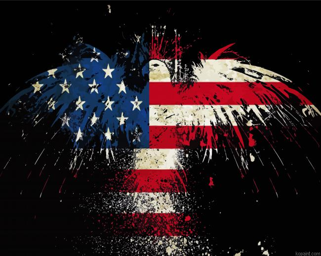 Eagle Usa Flag Painting By Numberss.png