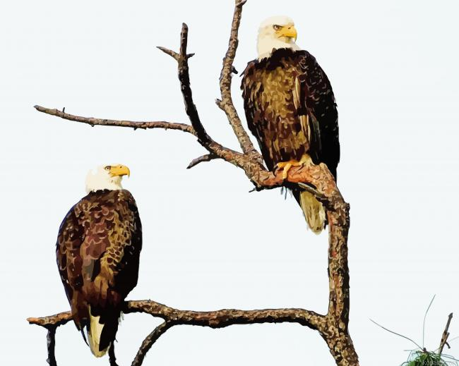 Eagles On A Tree Painting By Numberss.png