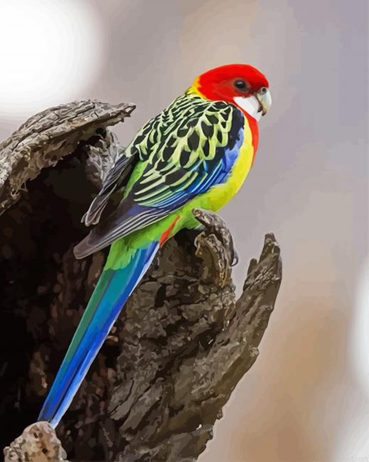 Eastern Rosella Painting By Numberss.png