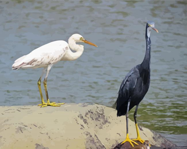 Egrets Bird Painting By Numberss.png