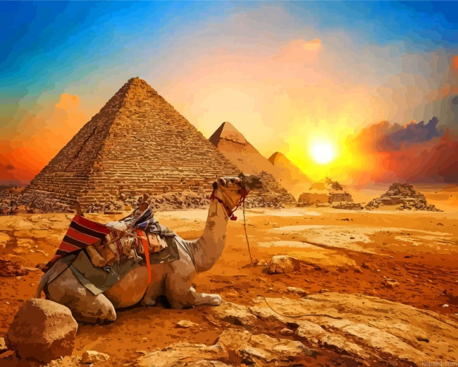 Egypt Desert Camel Painting By Numberss.png