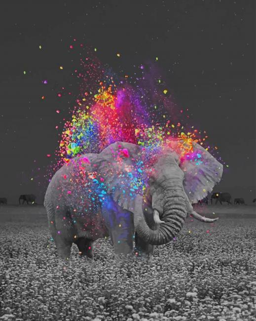 Elephant And Colors New Painting By Numberss.png