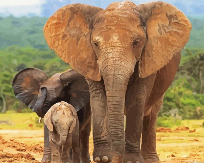 Elephant And Two Babies Animals Painting By Numberss.png