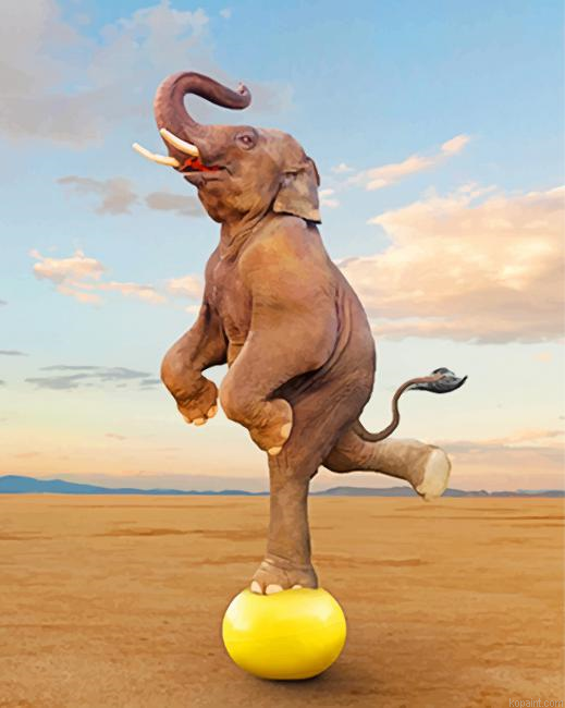 Elephant Balancing Painting By Numberss.png