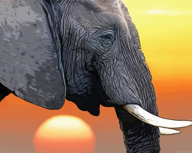 Elephant Head Side Profil Painting By Numberss.png