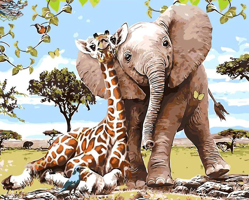 Elephant And Giraffe Animals Painting By Numberss.png
