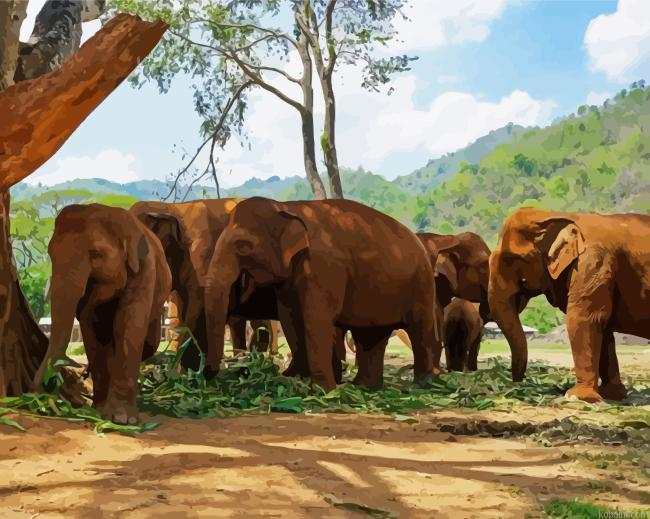 Elephants In Thailand Park Paint By Numbers