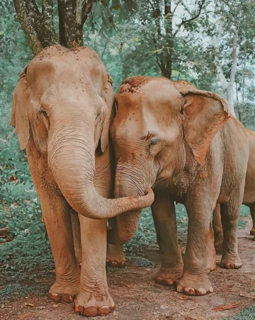 Elephants Love New Painting By Numberss.png