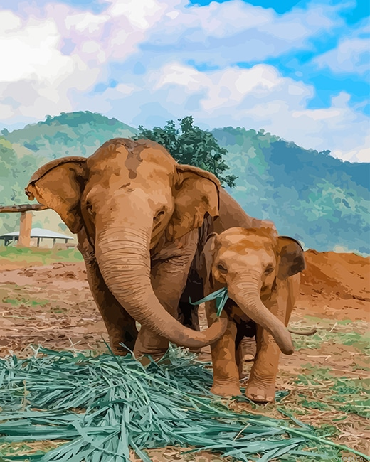 Elephants In Thailand New Painting By Numberss.png