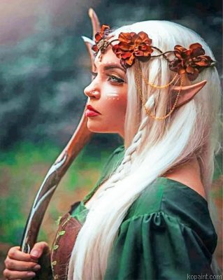 Elf Woman Painting By Numberss.png