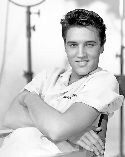 Elvis Presley New Painting By Numberss.png