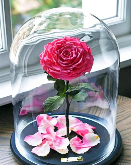 Enchanted Rose Flowers Painting By Numberss.png