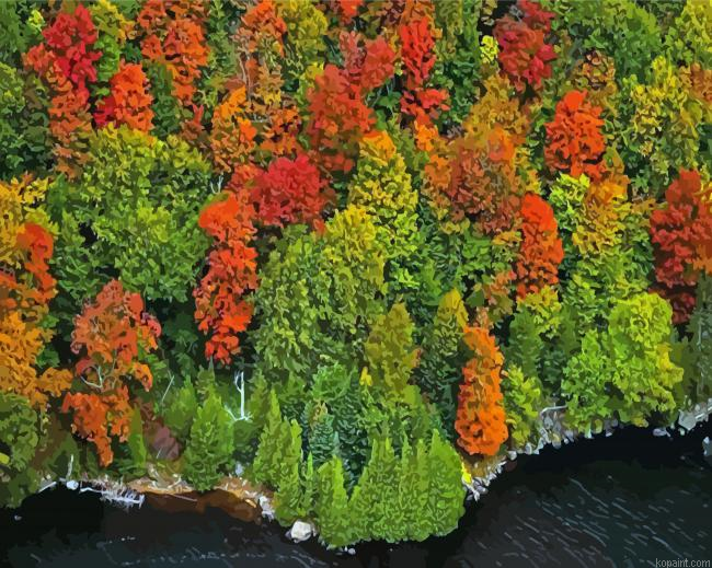 England Fall Foliage Paint By Numbers.png