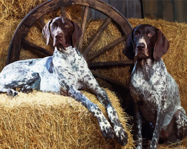 English Coonhound Dogs Painting By Numberss.png