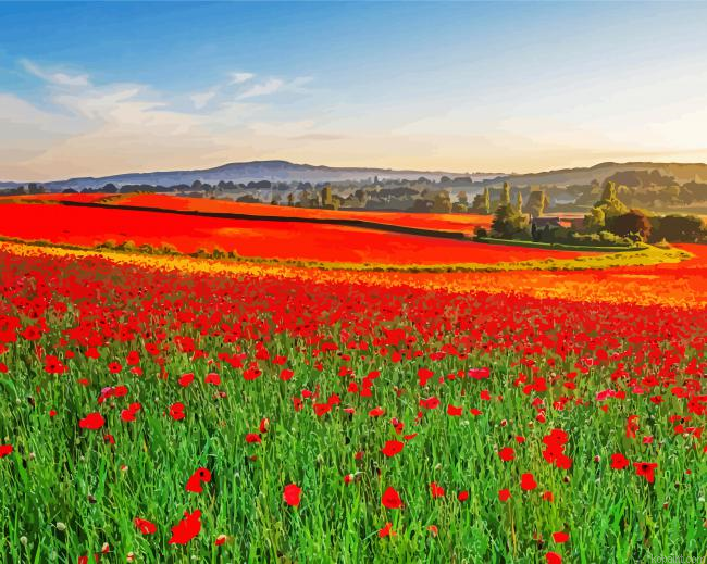 English Poppy Field Painting By Numberss.png