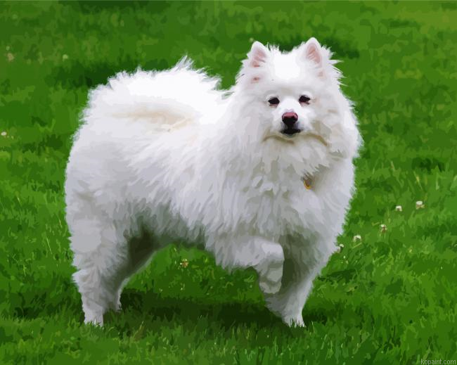Eskimo Dog Paint By Numbers.png