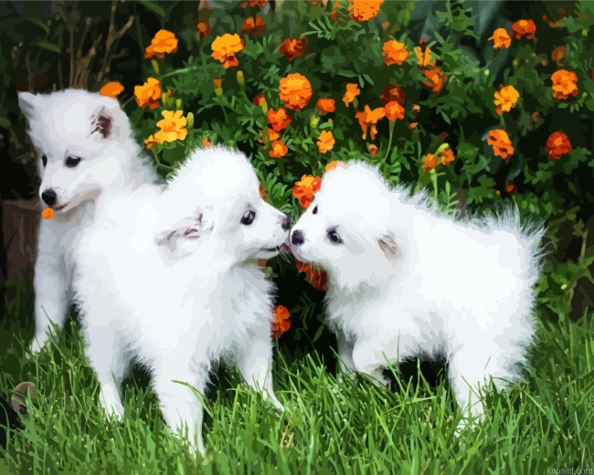 Eskimo Puppies Dogs Painting By Numberss.png