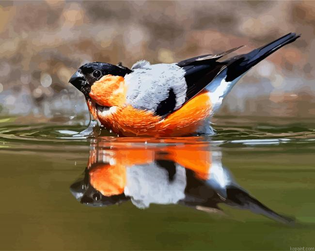 Eurasian Bullfinch In The Water Painting By Numberss.png