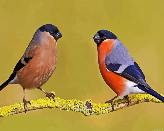 Eurasian Bullfinches Painting By Numberss.png