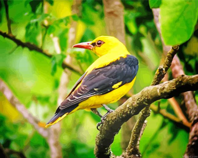 Eurasian Golden Oriole Painting By Numberss.png