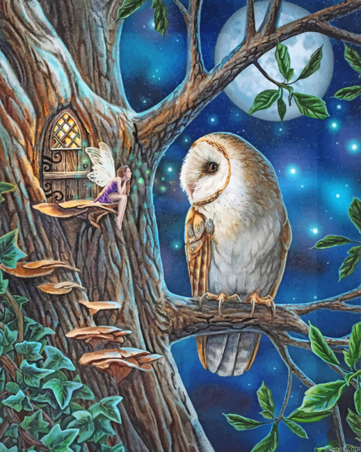 Fairy And Owl Art Painting By Numberss.png