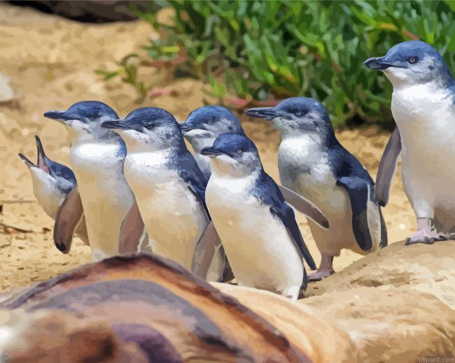 Fairy Penguins Painting By Numberss.png