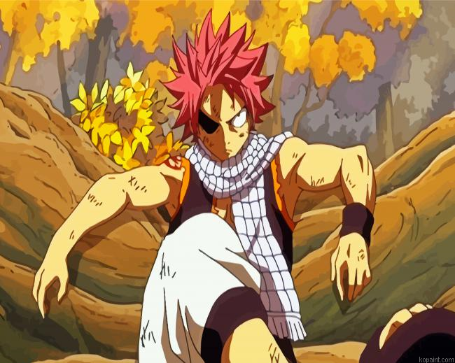 Fairy Tail Anime Natsu Dragneel Painting By Numberss.png