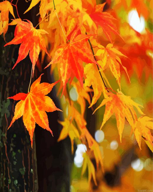 Fall Foliage Leaves Paint By Numbers.png