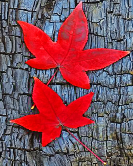 Fall Leaves Paint By Numbers