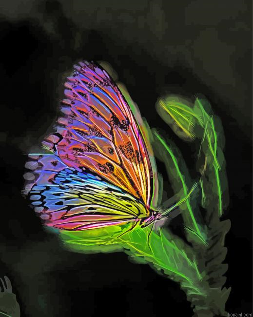 Fantasy Butterfly Painting By Numberss.png