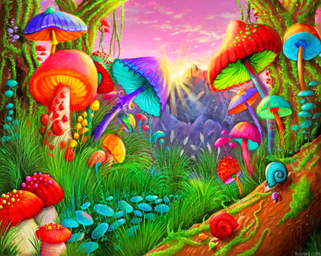 Fantasy Mushrooms Painting By Numberss.png