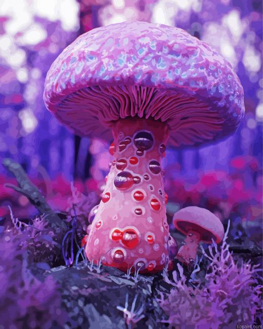 Fantasy Purple Mushroom Paint By Numbers