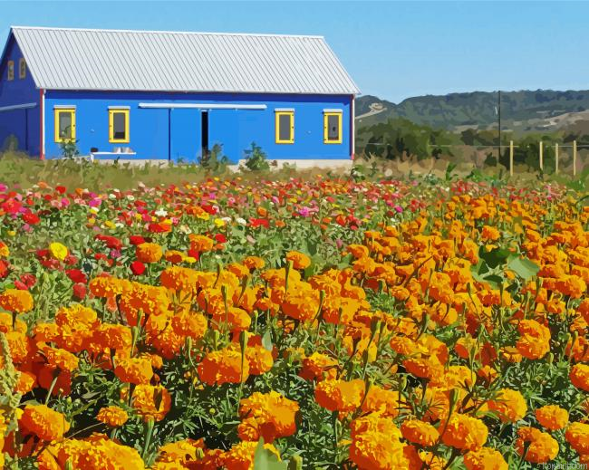 Farm Flowers Painting By Numberss.png