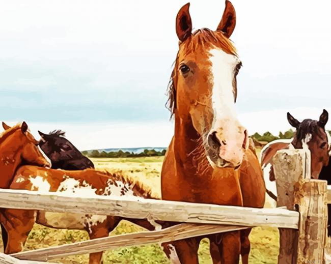 Farm Horses Paint By Numbers