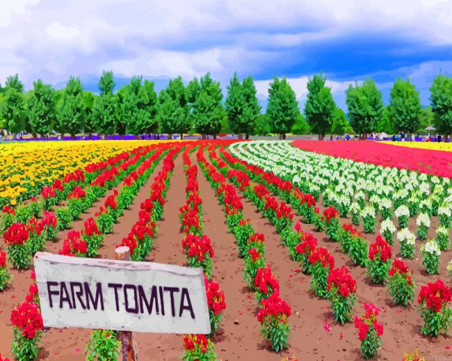 Farm Tomita Painting By Numberss.png