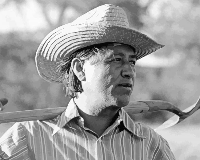 Farmer Cesar Chavez Paint By Numbers