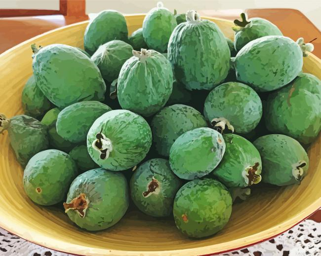 Feijoa Painting By Numberss.png