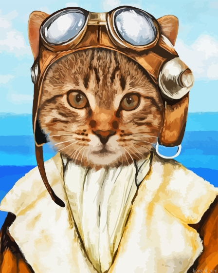 Female Pilot Cat Paint By Numbers