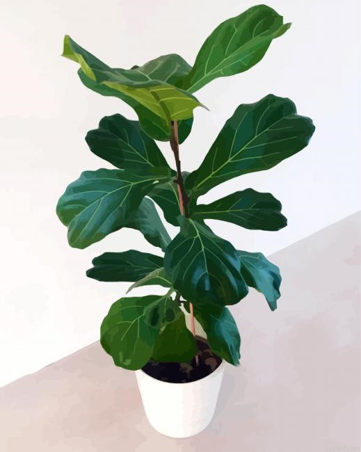 Ficus Lyrata Plant Pot Paint By Numbers.png