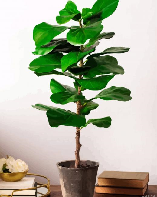 Fiddle Leaf Fig Plant Pot Paint By Numbers.png