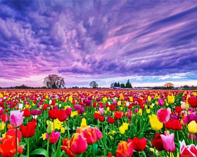 Field Of Tulips Painting By Numberss.png