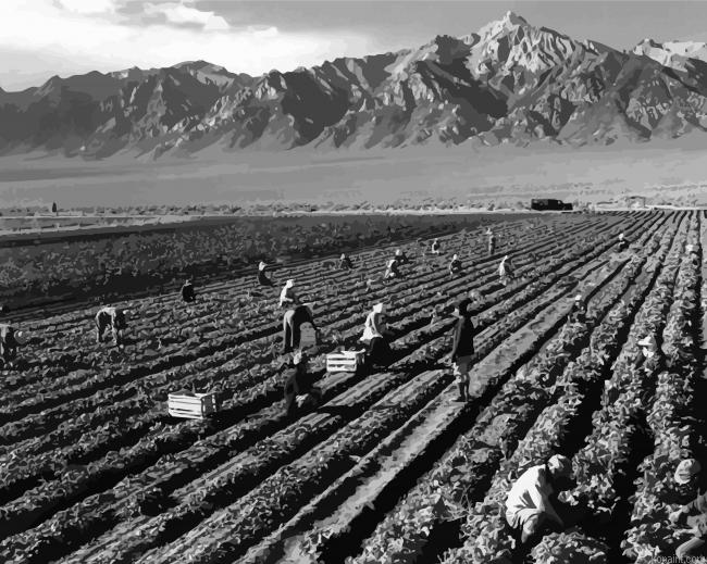 Fields By Ansel Adams Painting By Numberss.png