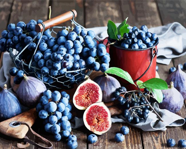 Figs And Grapes Paint By Numbers.png
