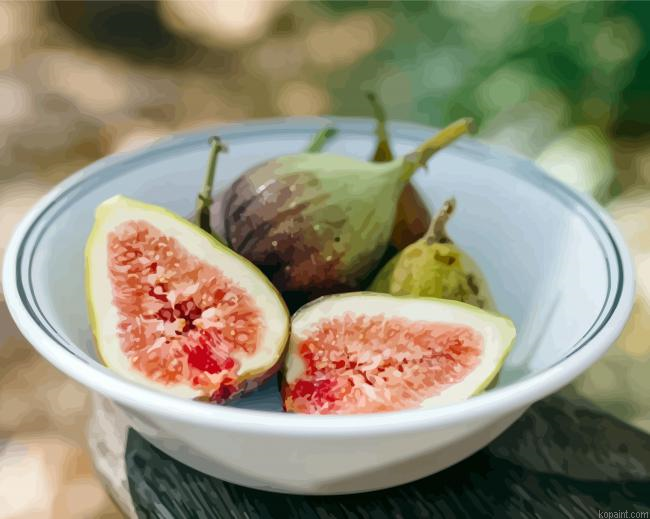 Figs Bowl Food Paint By Numbers.png