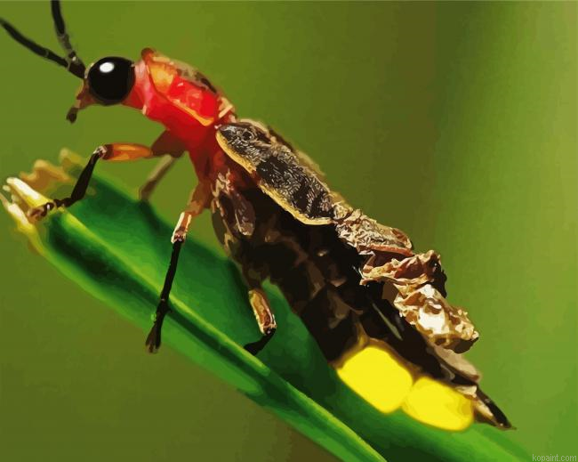Firefly Insect Fly Painting By Numberss.png