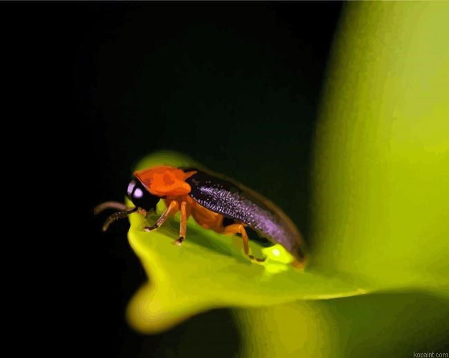 Firefly Insect Painting By Numberss.png